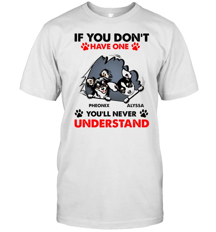 If you don’t have one pheonix alyssa you’ll never understand shirt Classic Men's T-shirt
