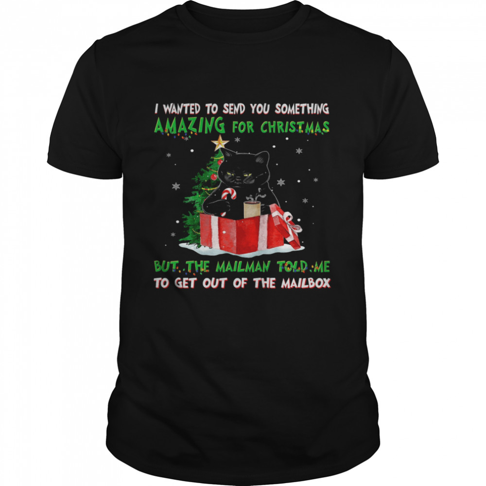 Cat Wanted To Send You Something Amazing For Christmas But The Mailman Told Me To Get Out Of The Mailbox  Classic Men's T-shirt