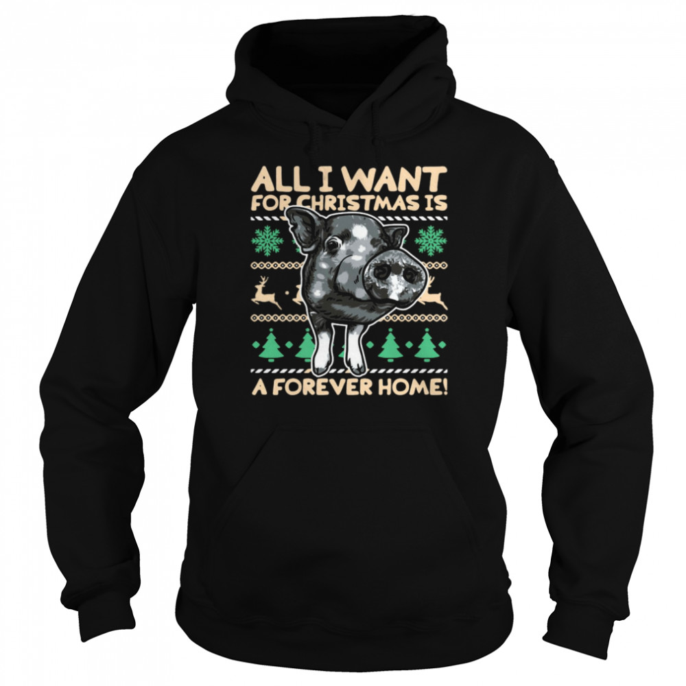 Pig All I Want For Christmas Is A Forever Home Christmas Sweater  Unisex Hoodie