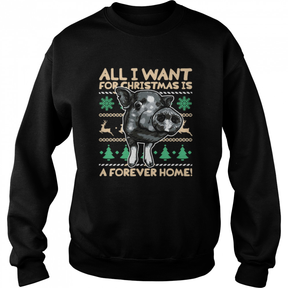 Pig All I Want For Christmas Is A Forever Home Christmas Sweater  Unisex Sweatshirt