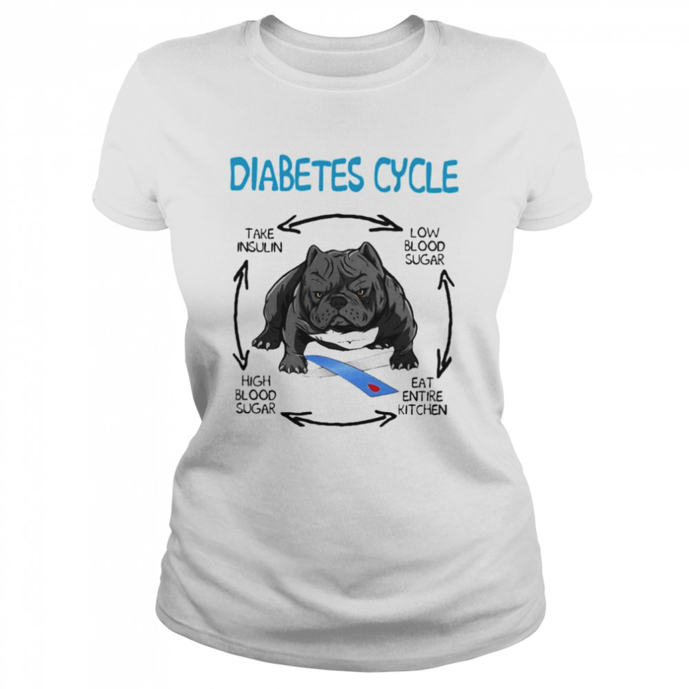PitBull diabetes cycle take insulin low blood sugar high blood sugar eat entire kitchen shirt Classic Women's T-shirt