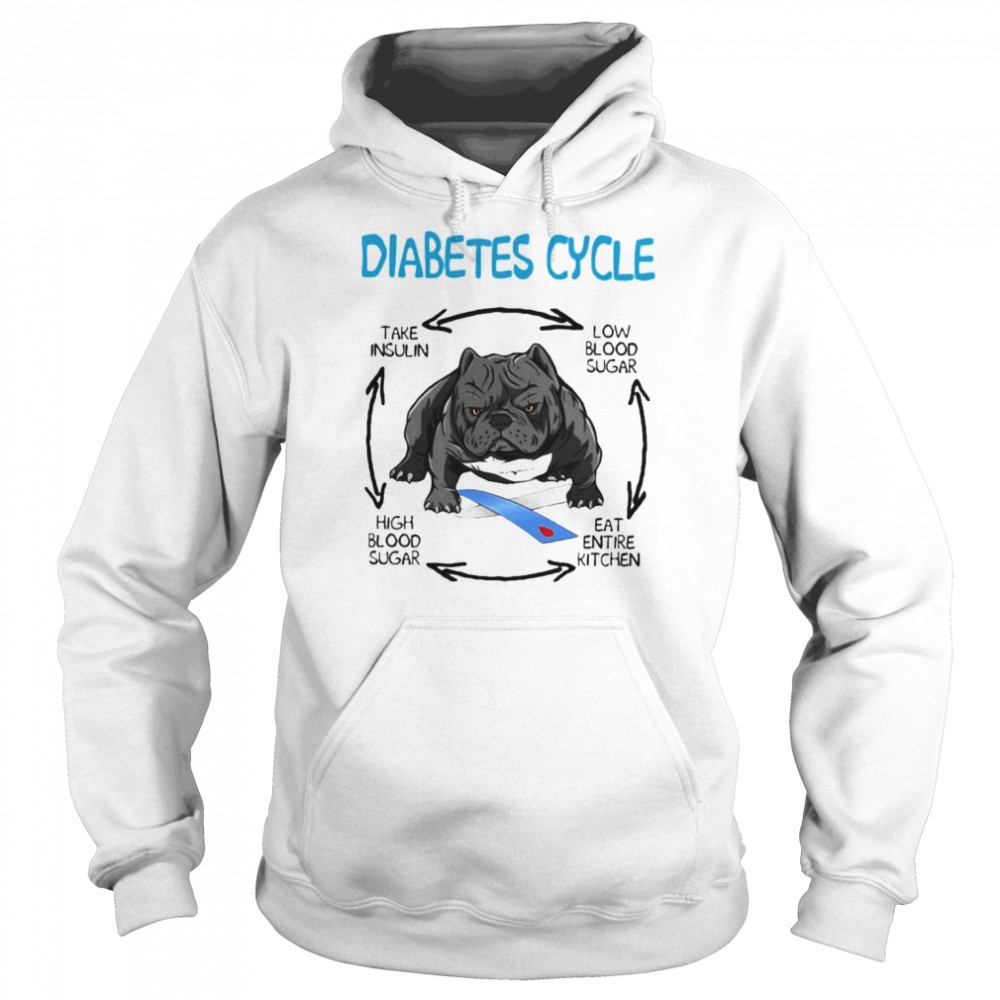 PitBull diabetes cycle take insulin low blood sugar high blood sugar eat entire kitchen shirt Unisex Hoodie