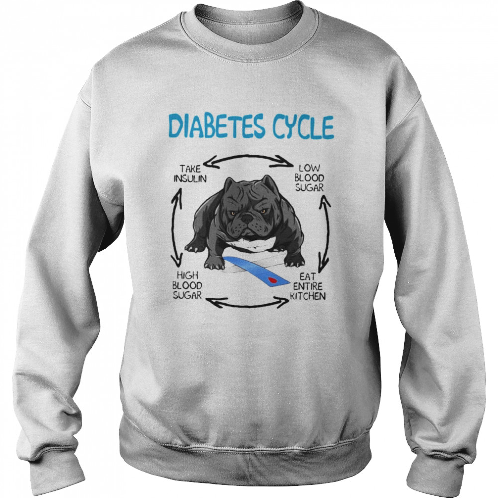 PitBull diabetes cycle take insulin low blood sugar high blood sugar eat entire kitchen shirt Unisex Sweatshirt